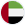 Dubai Flag