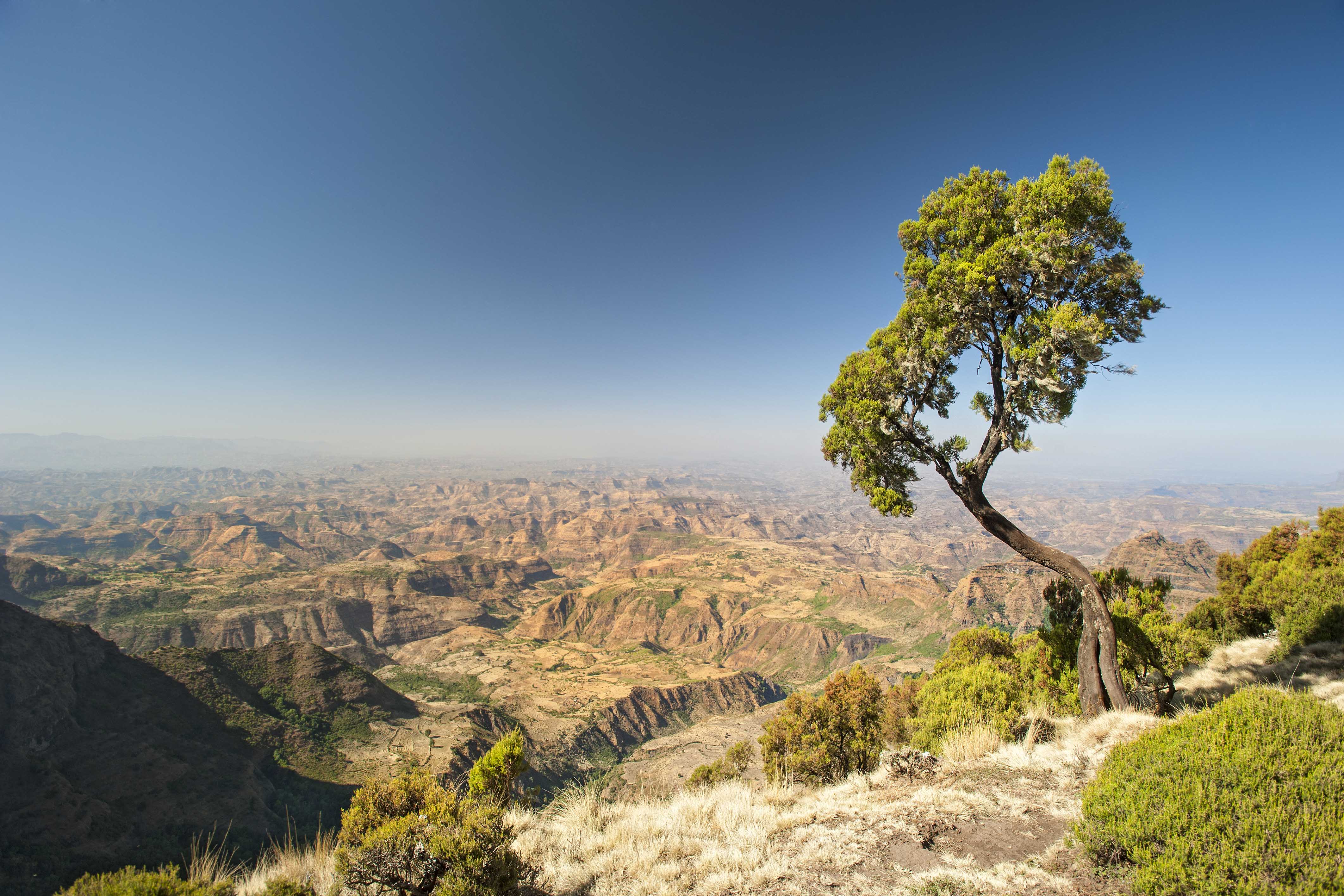 Ethiopia landscape