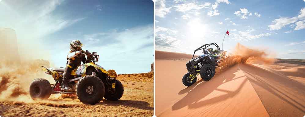 Desert Buggy Driving Experience