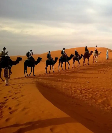 Premium Desert Safari with VIP Majlis