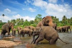 9 Days 8 Nights Splendours of Sri Lanka