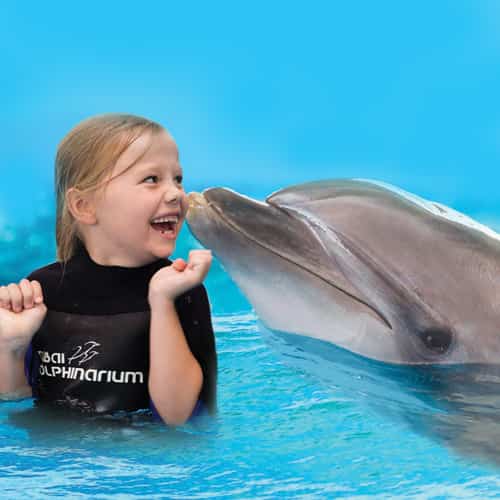 Dubai Dolphinarium Tickets