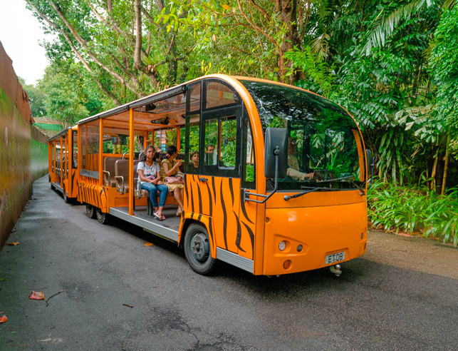 Singapore Zoo With Tram Ride