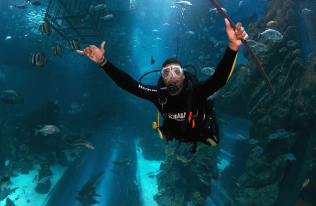 Aquarium Diving