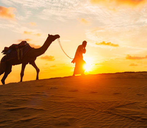 Desert Safari Abu Dhabi Tickets