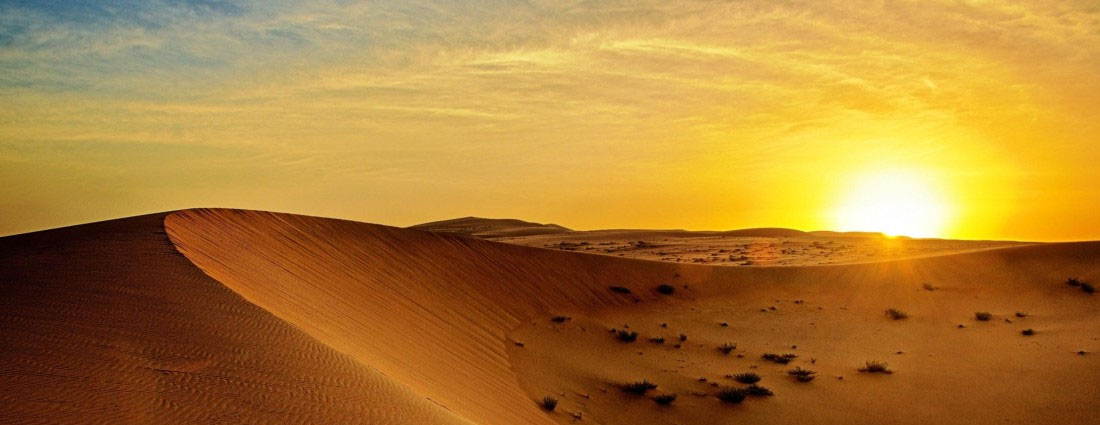 Sunrise Desert Safari Dubai Tour Tickets