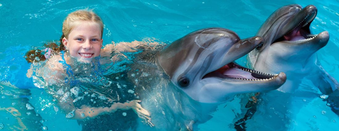 Dubai Dolphinarium Ticket Offers