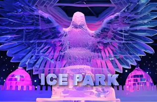 The Ice Park